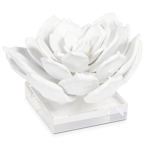 Sculpture succulente 1, Blanc