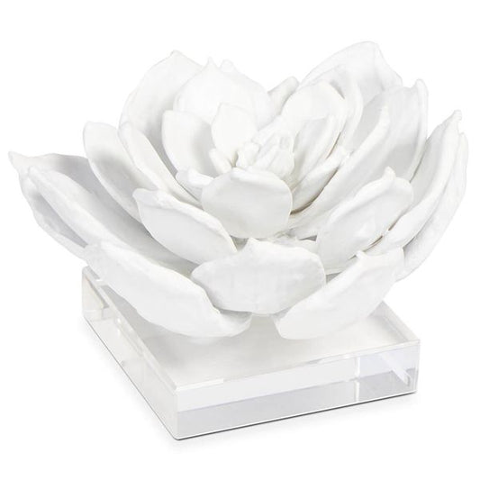 Sculpture succulente 1, Blanc